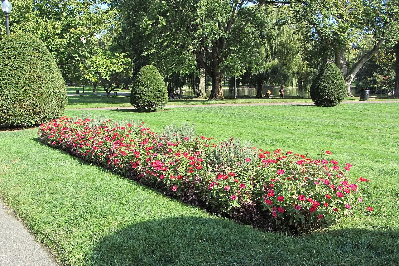 Flowerbeds and lawns in Boston’s Public Garden